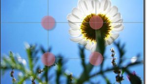 regla-tercios-fotografia-500x285